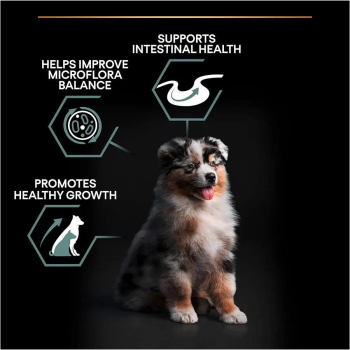 Pro Plan Medium Puppy Kuzu Etli 3 kg Orta Irk Yavru Köpek Maması