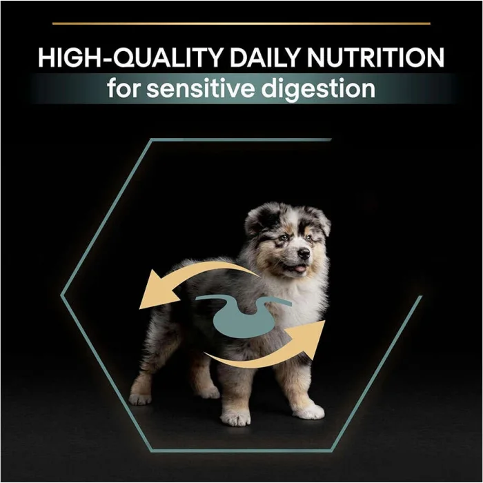 Pro Plan Medium Puppy Kuzu Etli 3 kg Orta Irk Yavru Köpek Maması