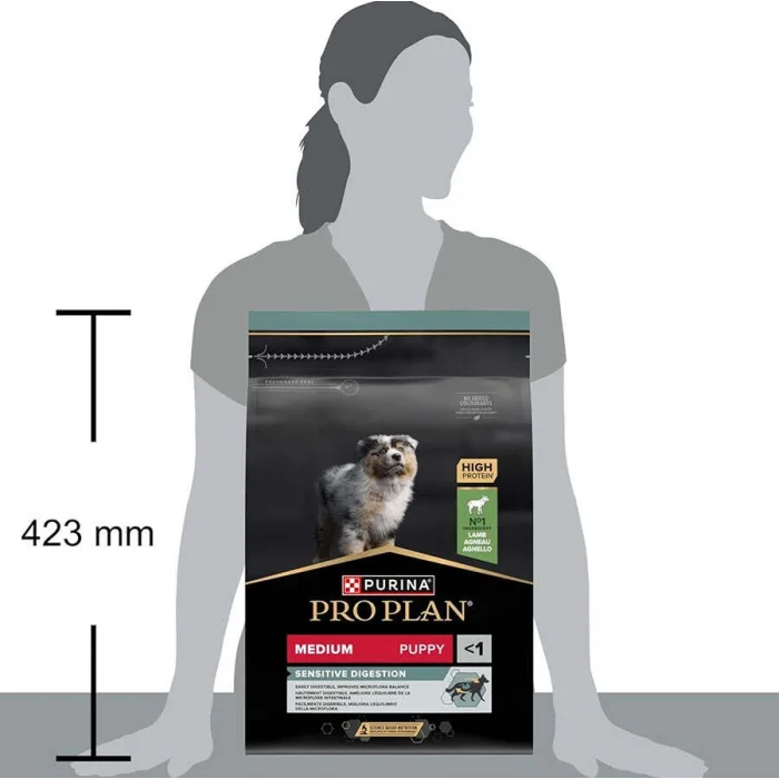 Pro Plan Medium Puppy Kuzu Etli 3 kg Orta Irk Yavru Köpek Maması
