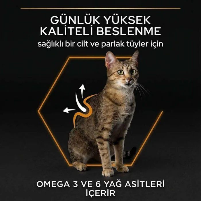 Pro Plan Derma Care Somonlu 10 kg Yetişkin Kedi Maması