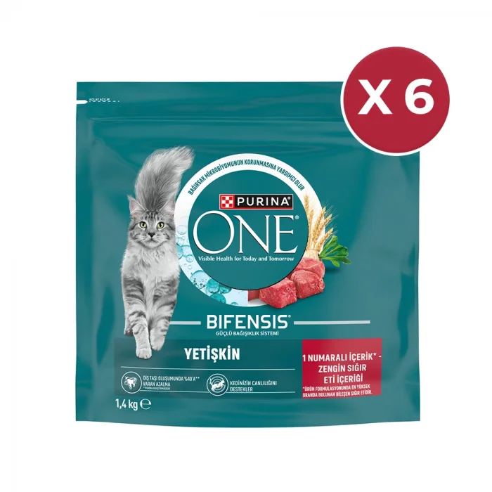 Purina One Yetişkin Sığır Etli Kedi Maması 1,4 Kg X 6 Paket