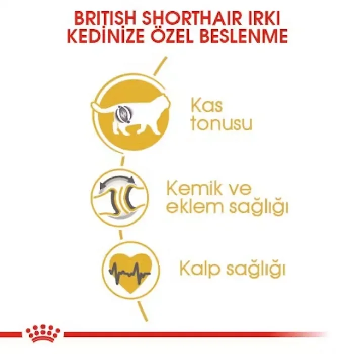 Royal Canin British Shorthair için Kuru Kedi Maması 2 Kg