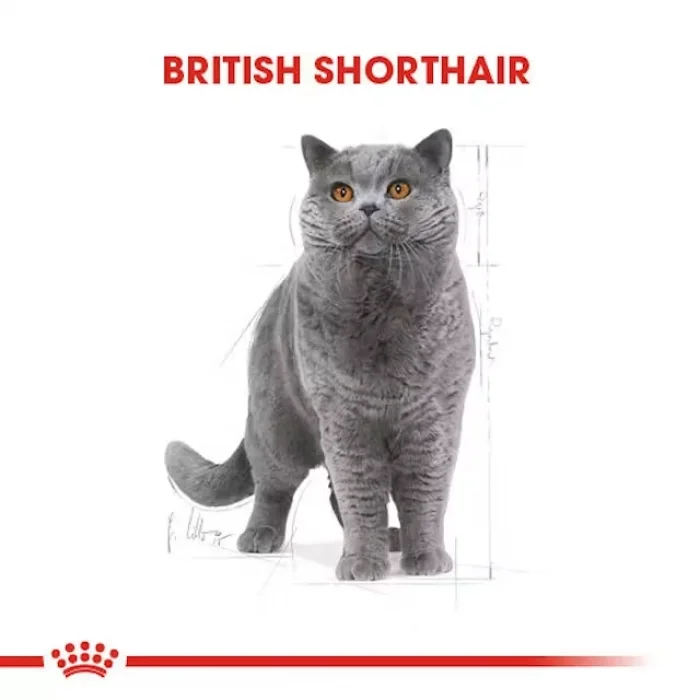 Royal Canin British Shorthair için Kuru Kedi Maması 2 Kg