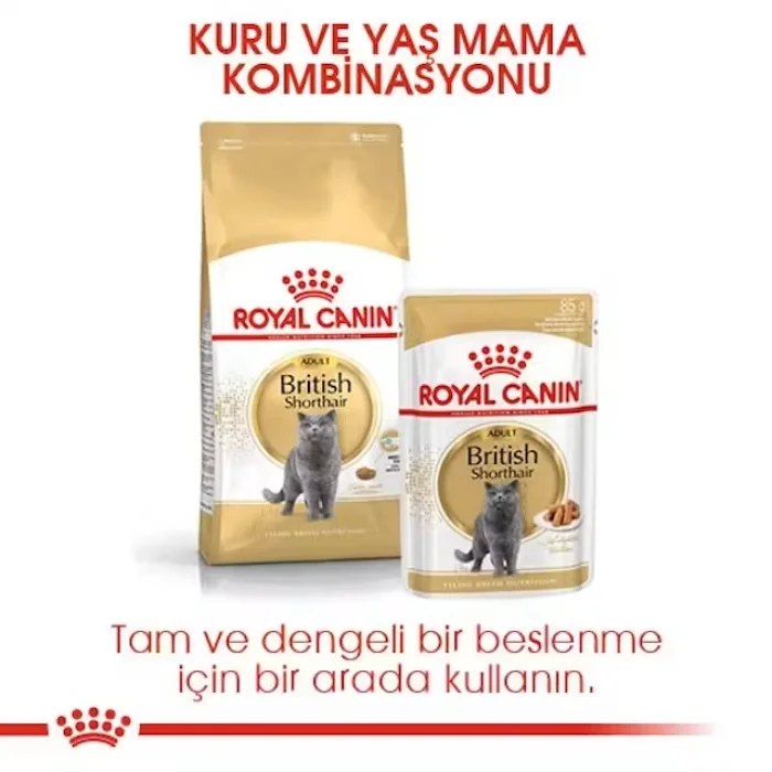 Royal Canin British Shorthair için Kuru Kedi Maması 2 Kg