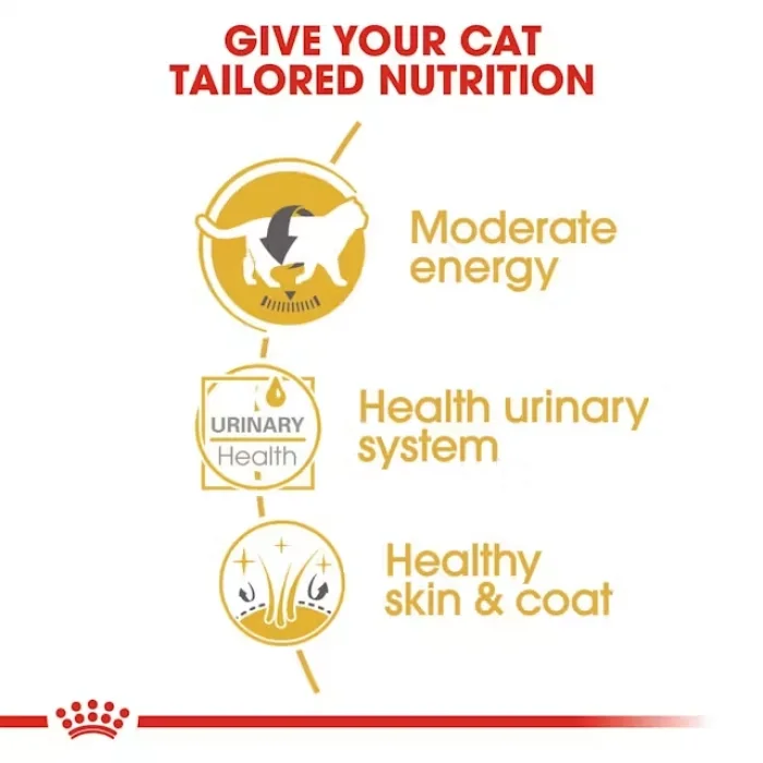 Royal Canin British Shorthair için Yaş Kedi Maması 85g X 12li Paket