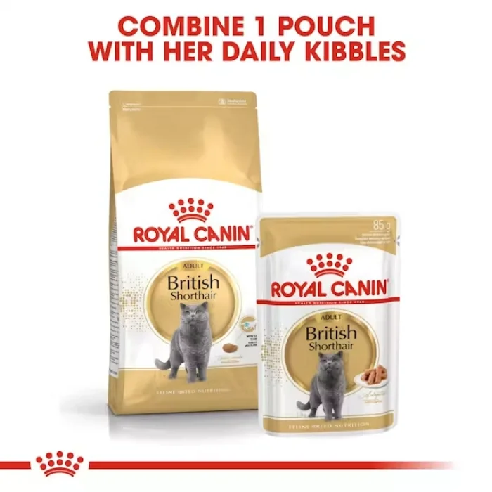 Royal Canin British Shorthair için Yaş Kedi Maması 85g X 12li Paket