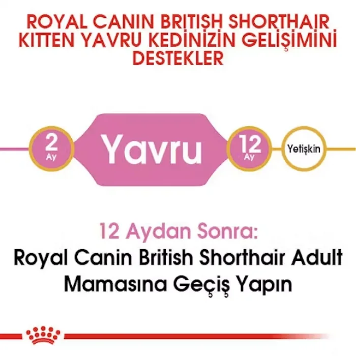 Royal Canin British Shorthair için Yavru Kedi Maması 2 Kg