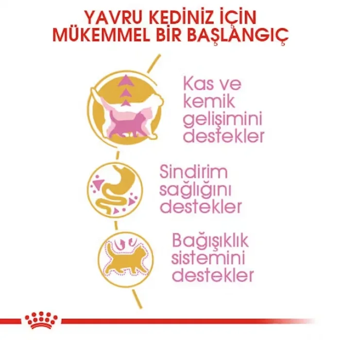 Royal Canin British Shorthair için Yavru Kedi Maması 2 Kg