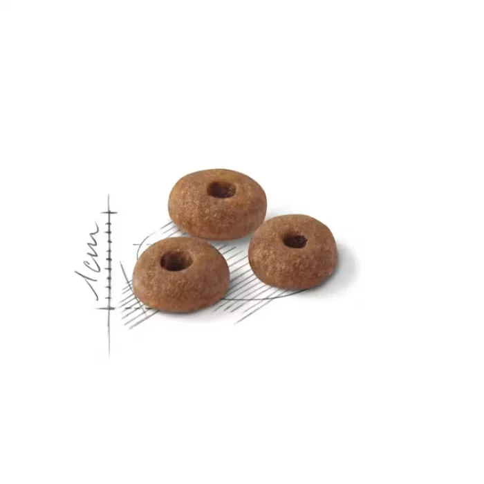Royal Canin Fit32 Yetişkin Kuru Kedi Maması 15 Kg