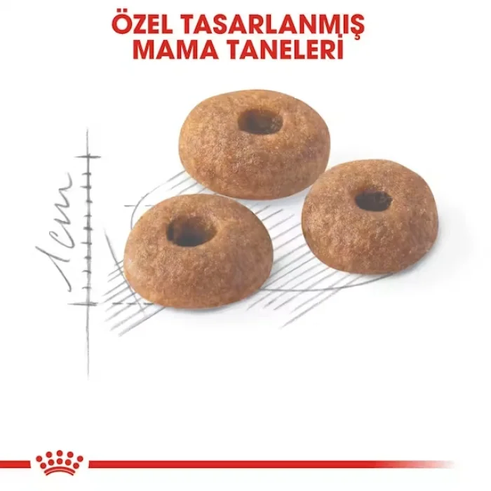 Royal Canin Fit32 Yetişkin Kuru Kedi Maması 15 Kg