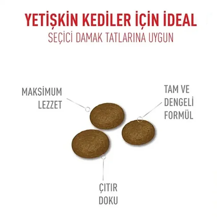 Royal Canin Fussy Exigent Seçici Kedilere Özel Kedi Maması 2 Kg