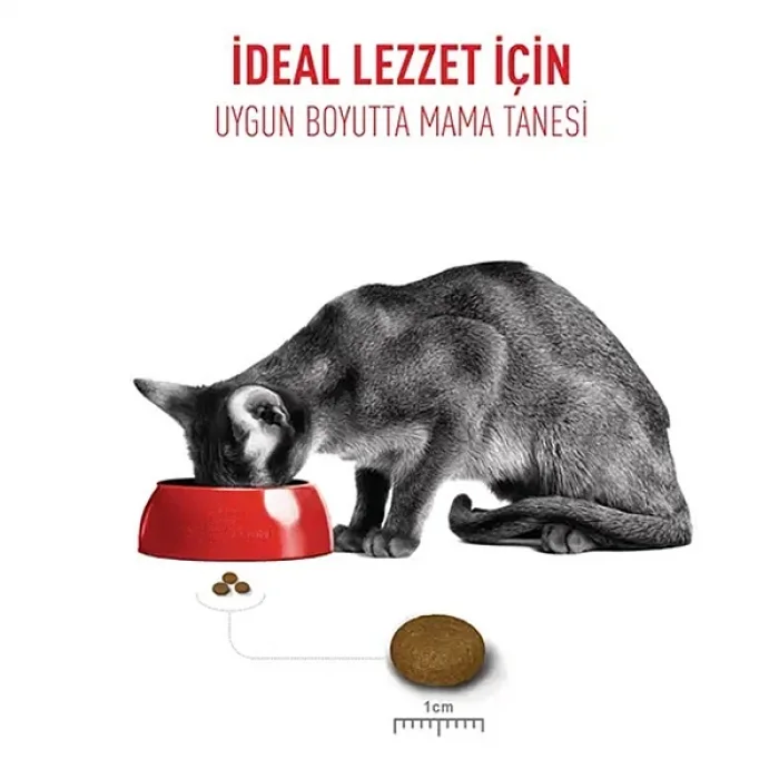 Royal Canin Fussy Exigent Seçici Kedilere Özel Kedi Maması 2 Kg