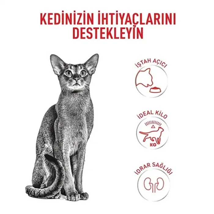 Royal Canin Fussy Exigent Seçici Kedilere Özel Kedi Maması 2 Kg