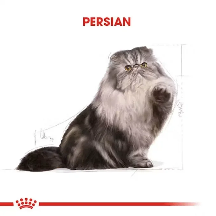 Royal Canin İran Kedisi için Kuru Kedi Maması 2 Kg