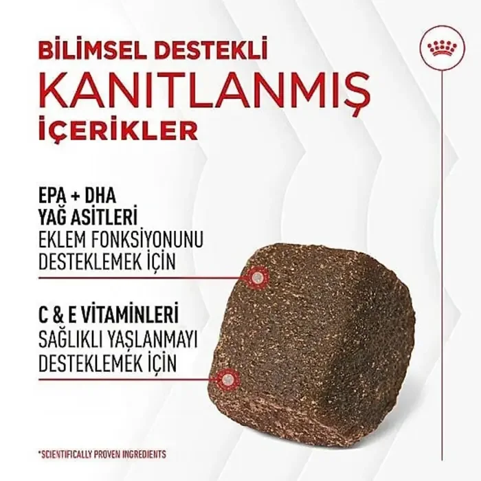 Royal Canin Joint & Ageing Chews 240 gr Yetişkin Köpek Ödül Maması