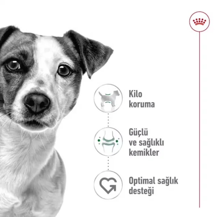 Royal Canin Küçük Irklar için Kuru Köpek Maması 8 Kg
