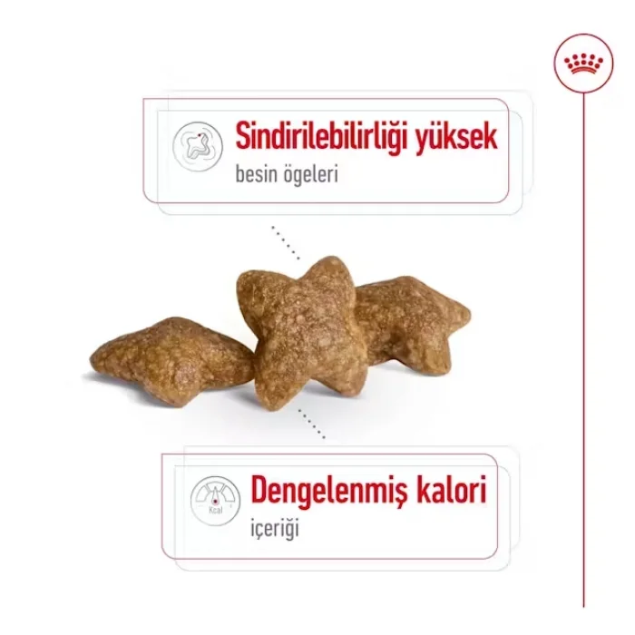 Royal Canin Küçük Irklar için Kuru Köpek Maması 8 Kg