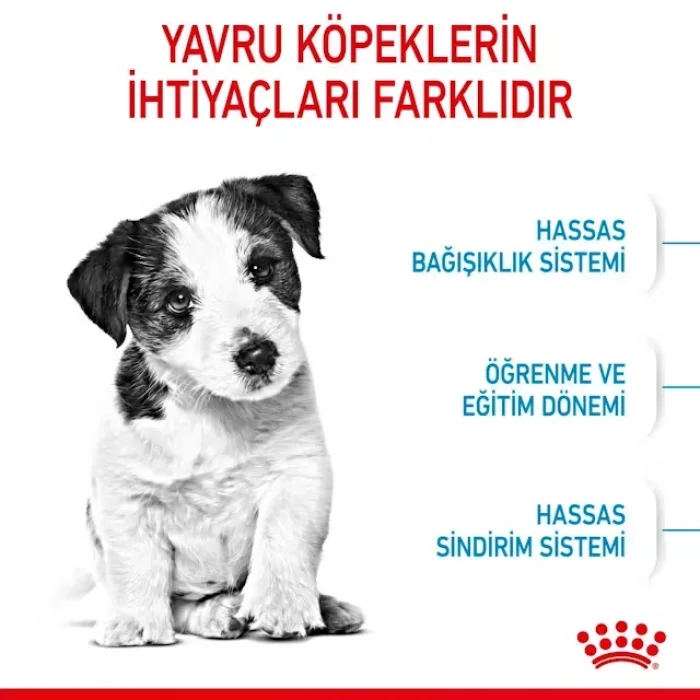 Royal Canin Küçük Irklar için Yavru Kuru Köpek Maması 2 Kg