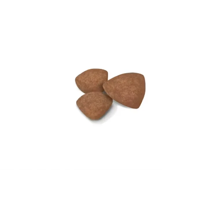 Royal Canin Küçük Irklar için Yavru Kuru Köpek Maması 2 Kg