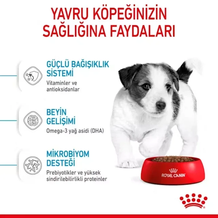 Royal Canin Küçük Irklar için Yavru Kuru Köpek Maması 2 Kg