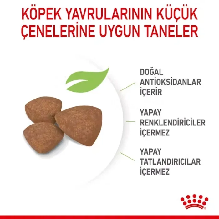 Royal Canin Küçük Irklar için Yavru Kuru Köpek Maması 4 Kg