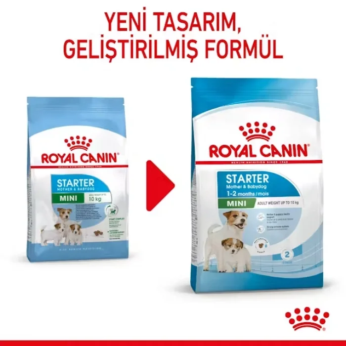 Royal Canin Mini Starter Küçük Irk Yavru Köpek Maması 4 Kg