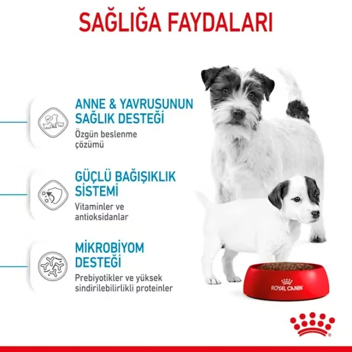 Royal Canin Mini Starter Küçük Irk Yavru Köpek Maması 4 Kg