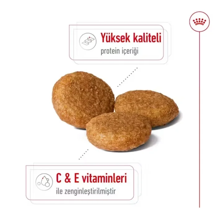 Royal Canin Orta Irklar için Yetişkin Kuru Köpek Maması 15 Kg