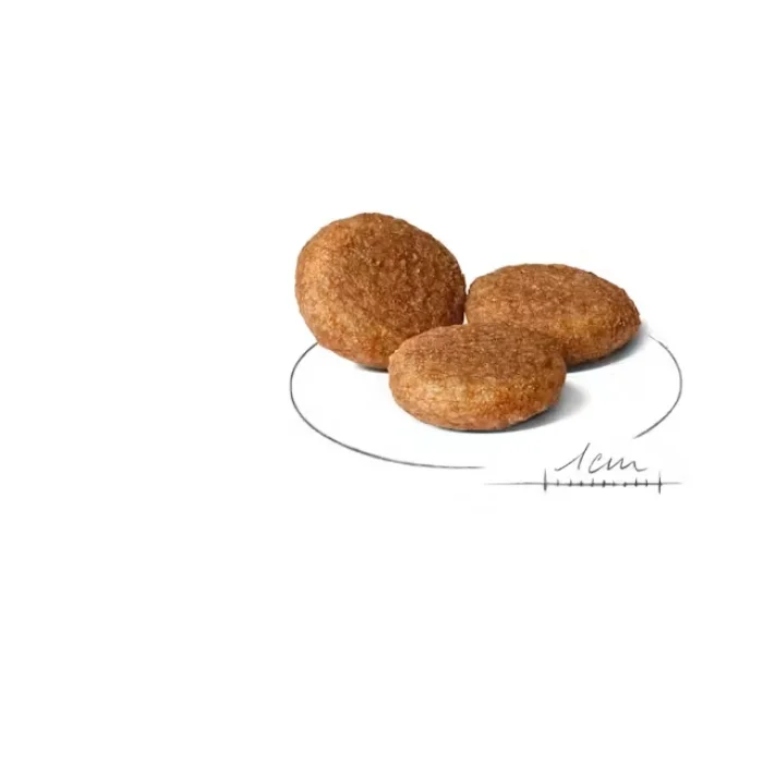 Royal Canin Orta Irklar için Yetişkin Kuru Köpek Maması 15 Kg