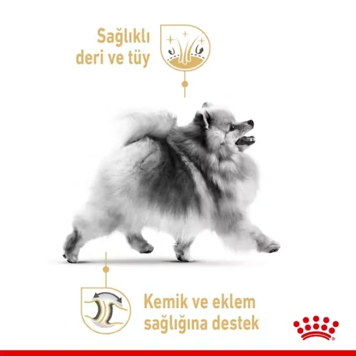 Royal Canin Pomeranian Yaş Köpek Maması 85g X 12li Paket