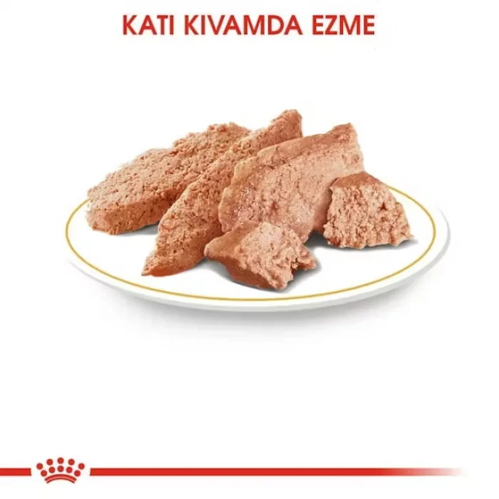 Royal Canin Poodle Yaş Köpek Maması 85g x 12li Paket
