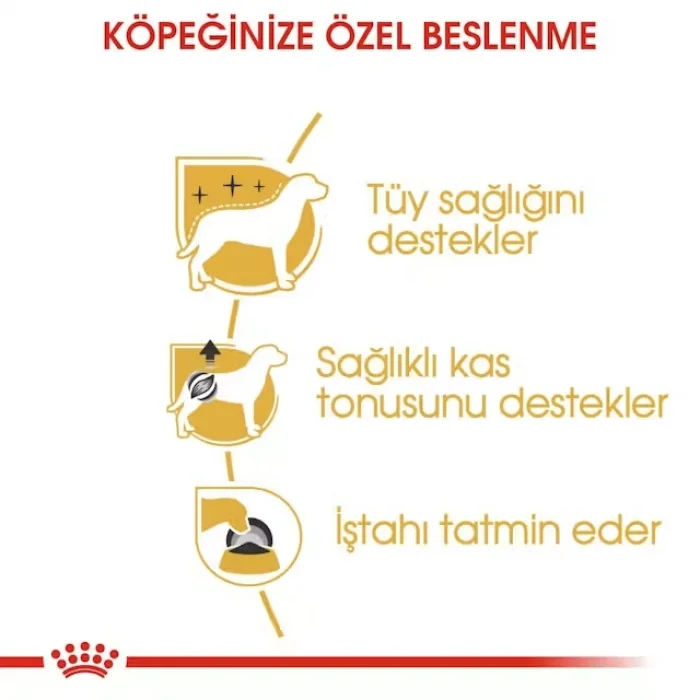 Royal Canin Poodle Yaş Köpek Maması 85g x 12li Paket