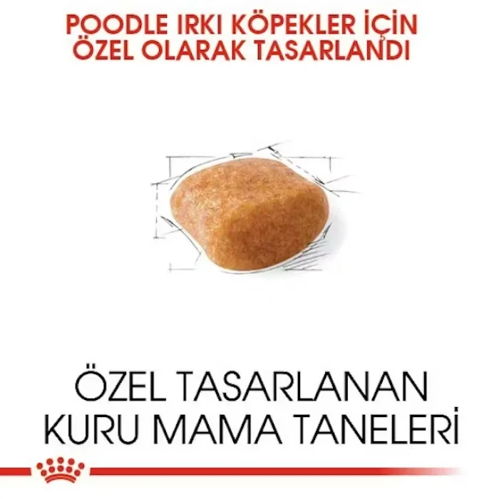 Royal Canin Poodle Yetişkin Kuru Köpek Maması 3 Kg