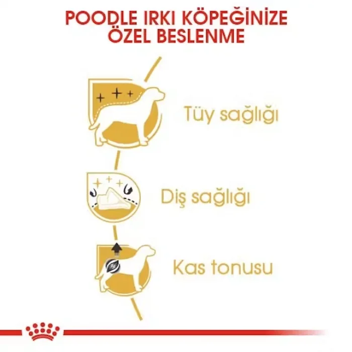 Royal Canin Poodle Yetişkin Kuru Köpek Maması 3 Kg