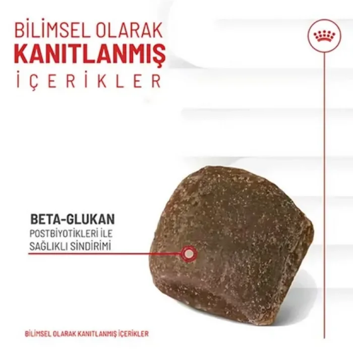 Royal Canin Sindirim Sistemi Destekli Yetişkin Köpek Ödül Maması 160gr