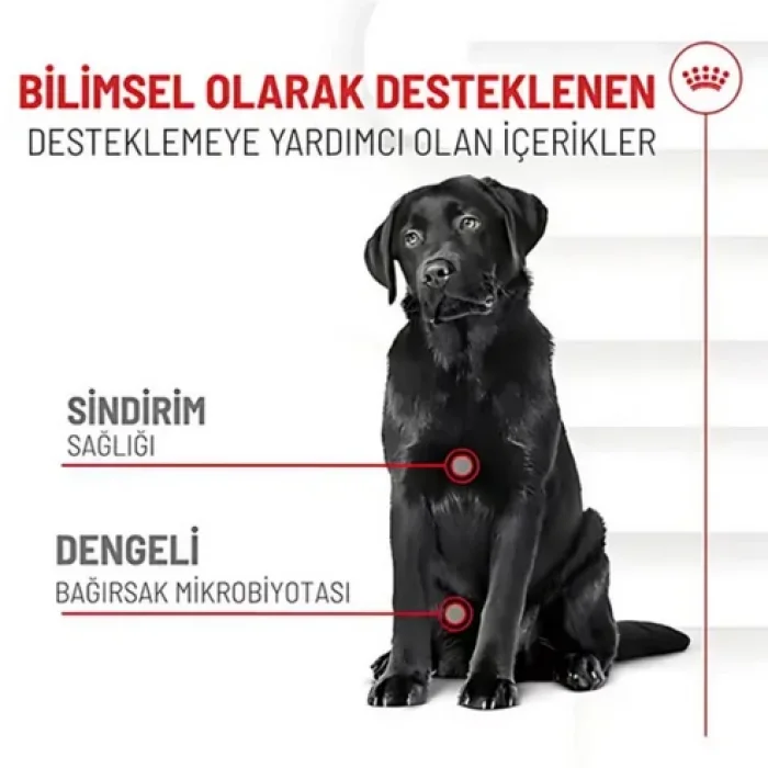 Royal Canin Sindirim Sistemi Destekli Yetişkin Köpek Ödül Maması 160gr