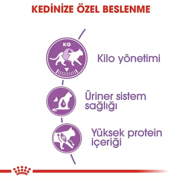 Royal Canin Sterilised37 Kısırlaştırılmış Kediler için Kuru Kedi Maması 2 Kg