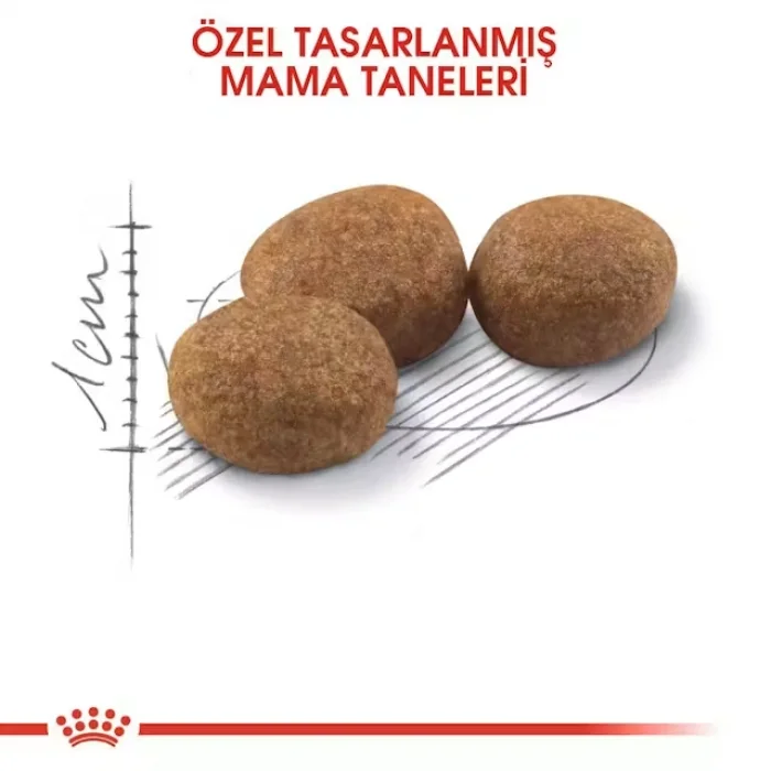 Royal Canin Sterilised37 Kısırlaştırılmış Kediler için Kuru Kedi Maması 2 Kg