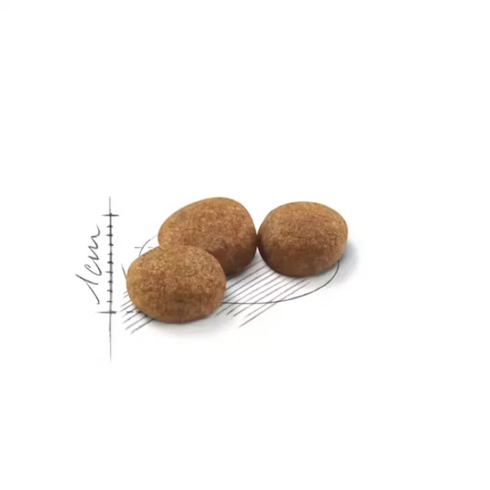 Royal Canin Sterilised37 Kısırlaştırılmış Kediler için Kuru Kedi Maması 4 Kg