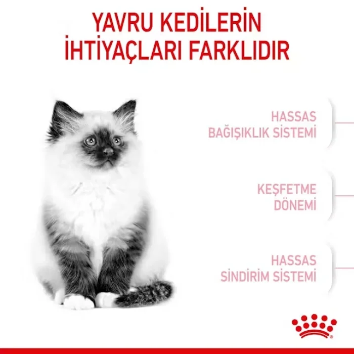 Royal Canin Yavru Kediler için Kuru Kedi Maması 10 Kg