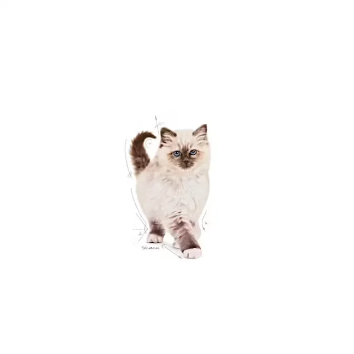 Royal Canin Yavru Kediler için Kuru Kedi Maması 4 Kg