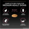 Pro Plan Medium Somonlu 14 kg Orta Irk Yetişkin Köpek Maması