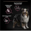 Pro Plan Medium Somonlu 14 kg Orta Irk Yetişkin Köpek Maması