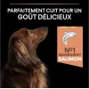 Pro Plan Small & Mini Somonlu 3 kg Küçük Irk Yetişkin Köpek Maması