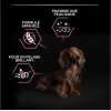 Pro Plan Small & Mini Somonlu 3 kg Küçük Irk Yetişkin Köpek Maması