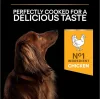 Pro Plan Small & Mini Tavuklu 3 kg Küçük Irk Yetişkin Köpek Maması