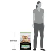 Pro Plan Sterilised Somonlu 10 kg Kısırlaştırılmış Yetişkin Kedi Maması
