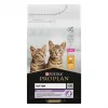 Pro Plan Original Kitten Tavuklu ve Pirinçli 10 kg Yavru Kedi Maması