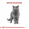 Royal Canin British Shorthair için Kuru Kedi Maması 2 Kg