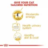 Royal Canin British Shorthair için Yaş Kedi Maması 85g X 12li Paket